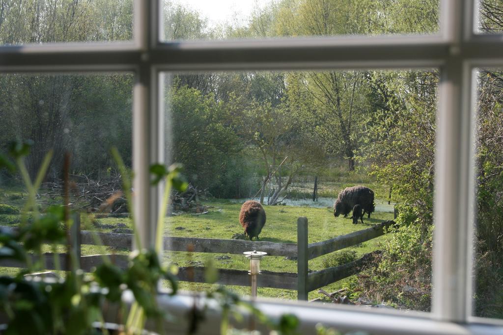 Ostseestuev Boiensdorf Pokoj fotografie